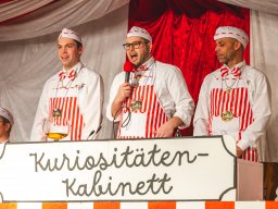 Fastnacht 2025 - Premieresitzung