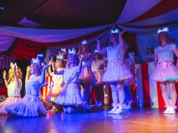 Fastnacht 2025 - Premieresitzung