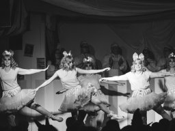 Fastnacht 2025 - Premieresitzung