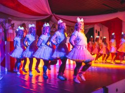 Fastnacht 2025 - Premieresitzung