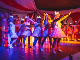 Fastnacht 2025 - Premieresitzung