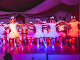 Fastnacht 2025 - Premieresitzung