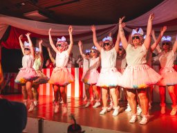 Fastnacht 2025 - Premieresitzung