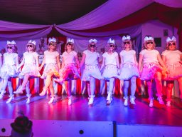 Fastnacht 2025 - Premieresitzung