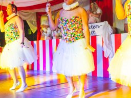 Fastnacht 2025 - Premieresitzung