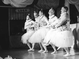 Fastnacht 2025 - Premieresitzung