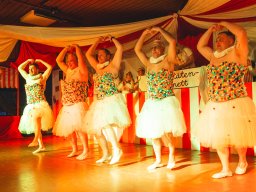 Fastnacht 2025 - Premieresitzung