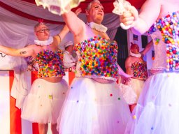 Fastnacht 2025 - Premieresitzung