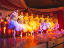 Fastnacht 2025 - Premieresitzung